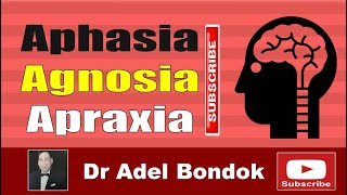 Aphasia Agnosia and Apraxia Dr Adel Bondok Making Anatomy Easy [upl. by Caye]