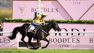 GALOPIN DES CHAMPS gallops to successive Gold Cups [upl. by Hallee]