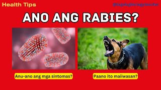 Ano ang Rabies  Signs and Symptoms  Prevention  Health Tips 13 Tagalog [upl. by Aihtenyc64]