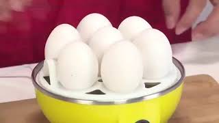 Automatic electric Egg poacher [upl. by Gelb]