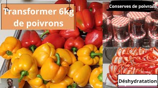 Comment CONSERVER LES POIVRONS afin den avoir même en HIVER Manger les légumes dété en HIVER [upl. by Terpstra]