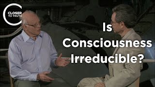 John Leslie  Is Consciousness Irreducible [upl. by Ivel386]