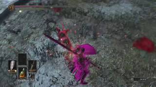 Farron Greatsword Backstab [upl. by Eniawtna]