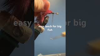 use this fly for big fish fishing flyfishing flytying insect bigfish simple [upl. by Thadeus82]