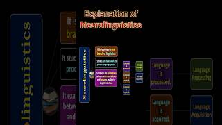 Explanation of Neurolinguistics [upl. by Shani]