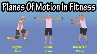 Importance Of The Planes Of Motion Sagittal Plane Frontal Plane Transverse Plane In Fitness [upl. by Canada]