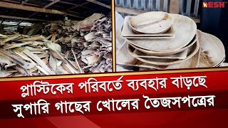 সুপারি গাছের খোল থেকে তৈরি হচ্ছে মূল্যবান তৈজসপত্র  Pirojpur Supari  Betel nut shell [upl. by Christine]