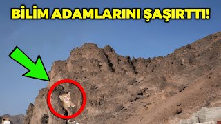 Uhud Dağında Ne Kadar Büyük Bir Mucize Bulduklarına İnanamayacaksınız Sübhanallah [upl. by Brigette]