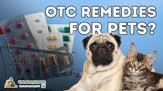 7 OTC Human Medications Safe and Effective for Dogs [upl. by Kruter]