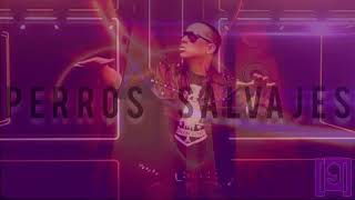 PERROS SALVAJES 9REMIX  Daddy Yankee LOWED [upl. by Kuhlman454]