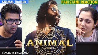 Pakistani Couple Reacts To ANIMAL Trailer  Ranbir Kapoor  Rashmika  Anil K  Bobby Deol [upl. by Lange]