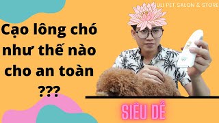 Tông Đơ Cạo Lông Chó Mèo  Hướng Dẫn Sử Dụng Đơn Giản Không Bị Trầy  Zuli Pet [upl. by So]