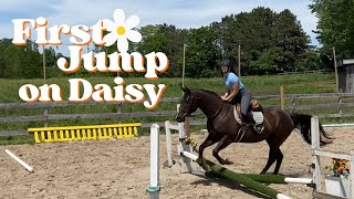 FIRST JUMP ON DAISY  GoPro Horse Riding Lesson [upl. by Cornie505]