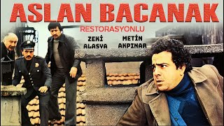 Aslan Bacanak Türk Filmi  FULL HD  ZEKİ ALASYA  METİN AKPINAR [upl. by Sowell]