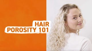 How to Identify Hair Porosity [upl. by Ardnaeel520]