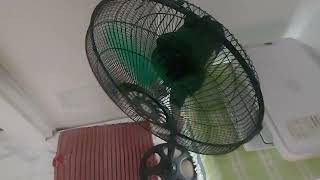 Sanex 12 inch fan with homemade high velocity fan blade [upl. by Noonberg]