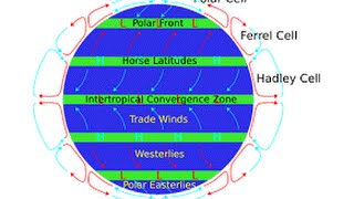 Trade Winds easily explained [upl. by Gideon362]