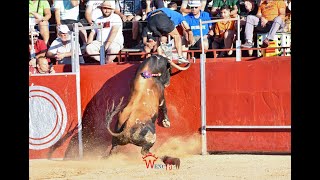 ESPECTACULAR TORAZO DE LA PEÑA TAURINA DE NUMANCIA 2024 [upl. by Howlyn]