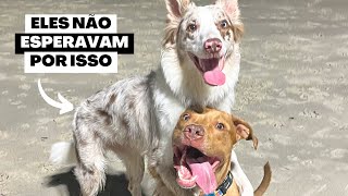 VLOG  Um Fim De Semana Diferente  Arrumamos Nossa Mala E Fizemos Uma Surpresa Pro Seba e Pra Valen [upl. by Liatrice]