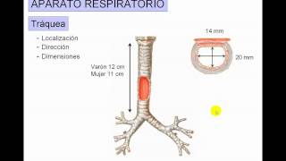 Vol recel et traque en hélico [upl. by Wat]