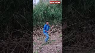 Chhaan gayi deewani shortsvideo bollywoodmusic expression subscribe jittubappaofficial [upl. by Mateusz]