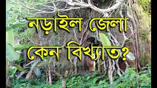 নড়াইল জেলার সকল গুরুত্বপূর্ণ তথ্য।All important information of Narail district [upl. by Thinia]