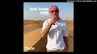 LEPA BRENA  SEIK speed up  reverb [upl. by Aara41]