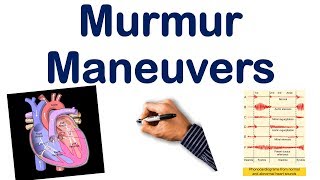 Heart Murmur Maneuvers Dynamic Auscultation Part 2 USMLE STEP NCLEX COMLEX [upl. by Yerocal280]