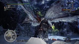 MHW Legiana got stuck [upl. by Sancha900]