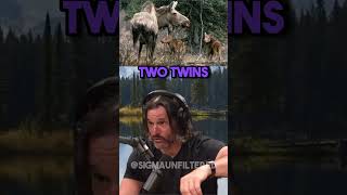 Surviving A GRIZZLY BEAR ATTACK  JRE featuring Donnie Vincent [upl. by Nordna272]