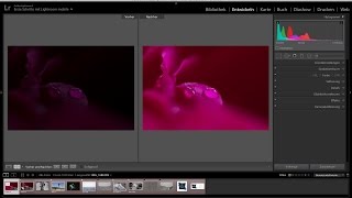 LaKe Lightroom Tutorials  Zuschauerbilder  Hermann Ma 1 [upl. by Shulem330]