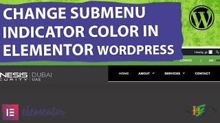 How to Change Submenu Indicator Color using Custom CSS in Elementor WordPress [upl. by Cozza22]