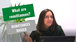 What are remittances Understanding Remittances Basics [upl. by Kono843]