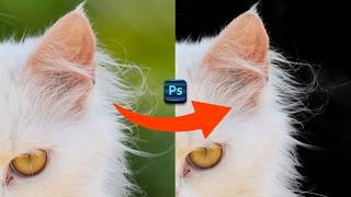 Quick Way to Remove Complex Background in Photoshop 2024 [upl. by Agnes153]