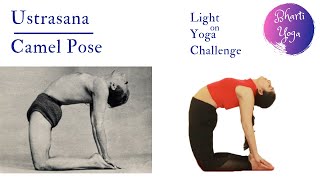 Ustrasana  Camel Pose  Light on Yoga Challenge  Iyengar Yoga [upl. by Ednarb]