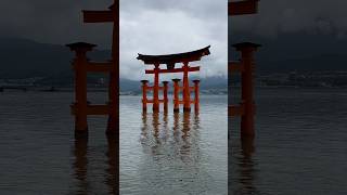 広島の宮島  Miyajima Island in Hiroshima ⛩️ japan hiroshima miyajima shika nujabes beats shorts [upl. by La]