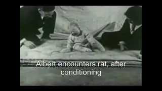 Little Albert Experiment Watson [upl. by Normand]