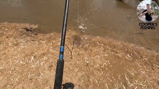 Fishing in the Campaspe River near Echuca [upl. by Refanej]