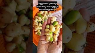 കൂർക്ക പെട്ടെന്ന് തൊലി കളയാം youtubeshorts easy cooking tips [upl. by Lleda923]