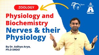 Physiology and Biochemistry  Nerves and Their Physiology  Zoology  S Chand Academy [upl. by Karlik]