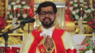 HOLY MASS  Syro Malabar Holy Mass Malyalam  Fr Thomson Koodapattu CMI [upl. by Ube]