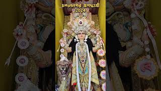 Chandannagar Jagadhatri Puja 2024 shorts youtubeshorts jagadhatripuja [upl. by Nylanaj302]