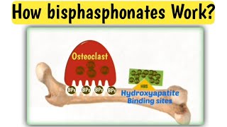 Mechanism action of bisphasphonates  How bisphasphonates work  Doctors goal [upl. by Enyallij]