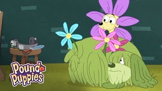 Pound Puppies Season 3  ‘Dog Aliens’ Official Clip [upl. by Attekal9]