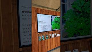 Botanischer Garten Tropenhaus shorts nature [upl. by Eynahpets771]