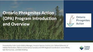 Ontario Phragmites Program OPA Introduction and Overview [upl. by Meredi]