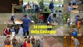 LA CANZONE DELLA CASTAGNA  Romantici Vag [upl. by Vincents]