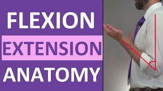 Flexion and Extension Anatomy Shoulder Hip Forearm Neck Leg Thumb Wrist Spine Finger [upl. by Torrie403]