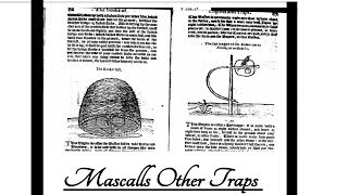 Mascalls other traps [upl. by Carlo]