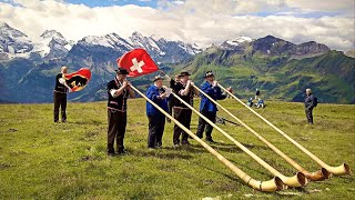 Das ALPHORN Traditional Swiss Music Instrument shorts [upl. by Airdnaid]